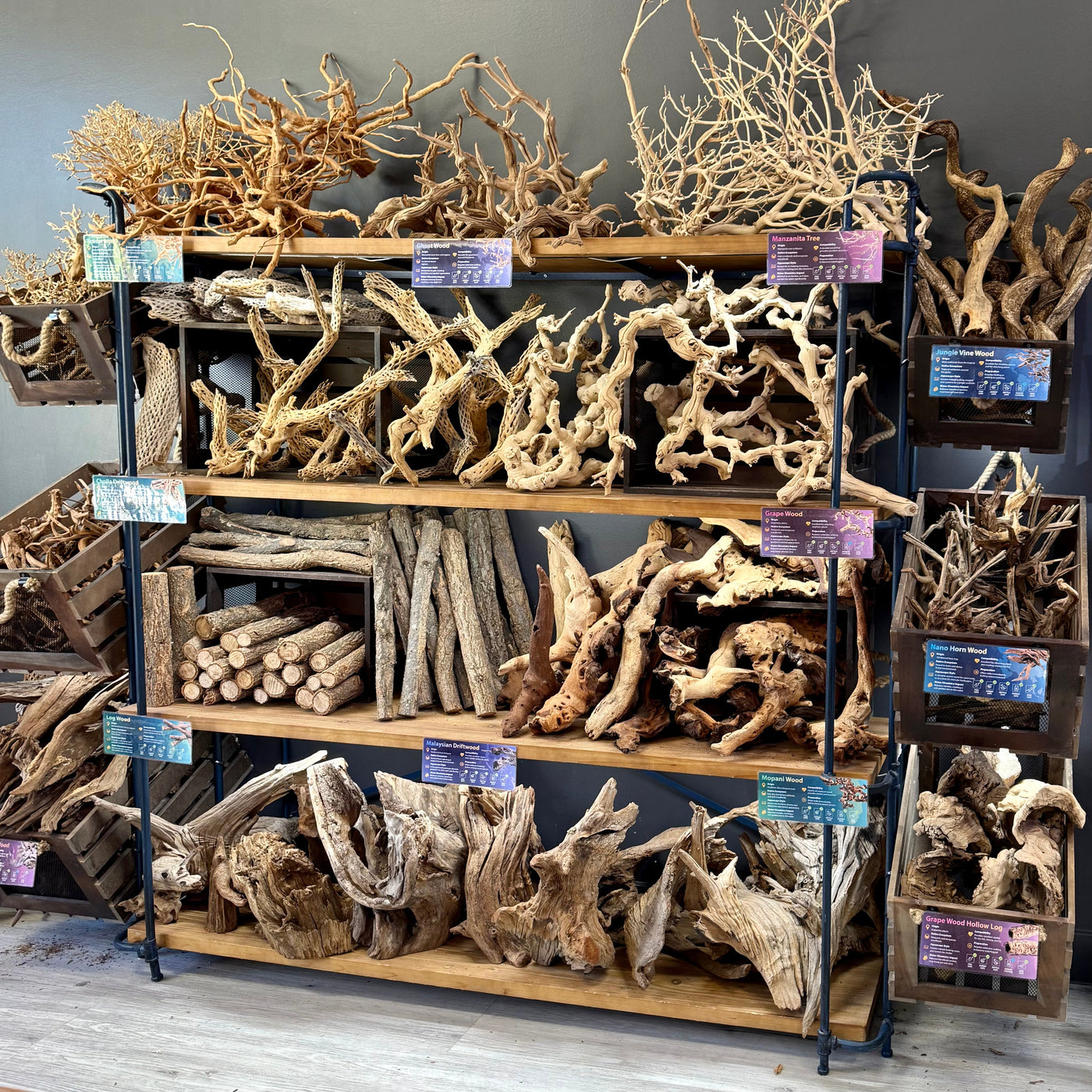 Driftwood