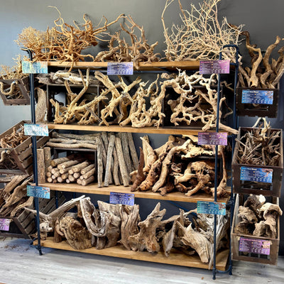 Driftwood