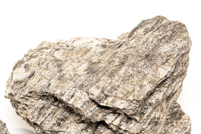 Ancient Petrified Stone