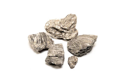 Ancient Petrified Stone