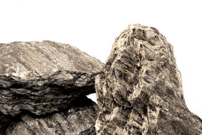 Ancient Petrified Stone