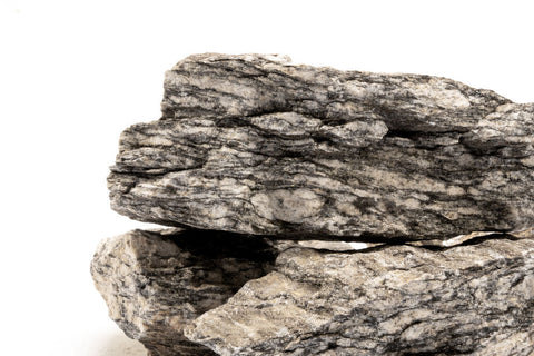 Ancient Petrified Stone