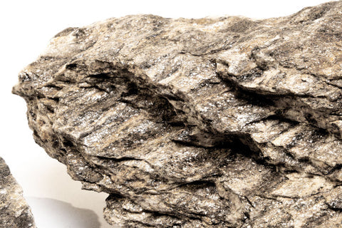 Ancient Petrified Stone