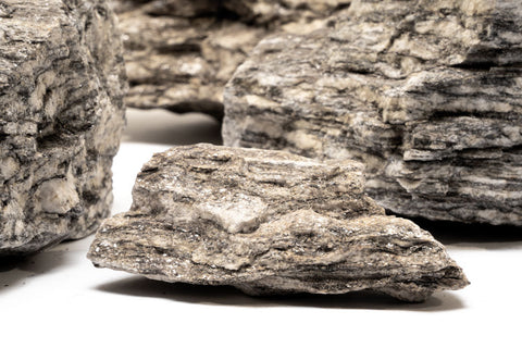 Ancient Petrified Stone