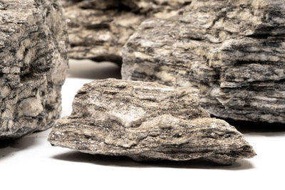Ancient Petrified Stone