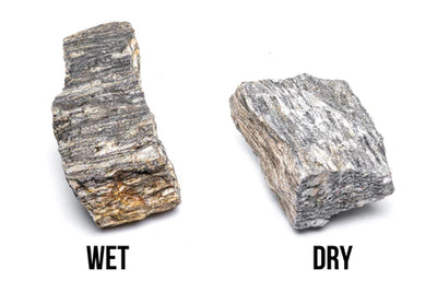 Ancient Petrified Stone