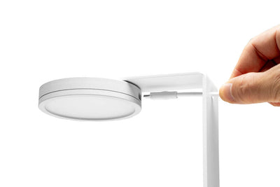 Aqua Worx SOL Fixed Base Light Stand