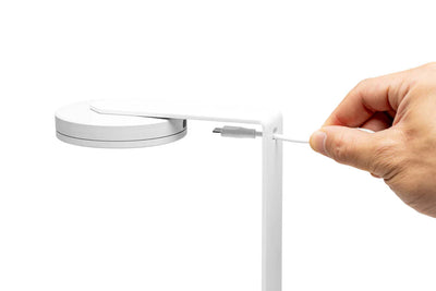 Aqua Worx SOL Fixed Base Light Stand
