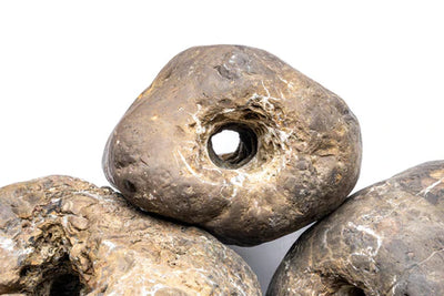 Ash Stone