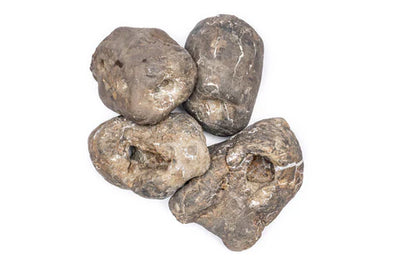 Ash Stone