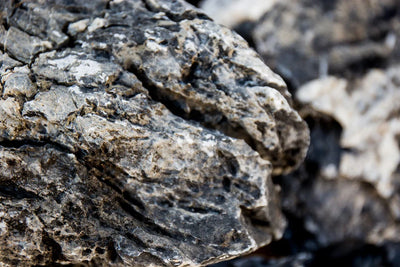 Black Mountain Seiryu Stone