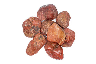Blood Stone