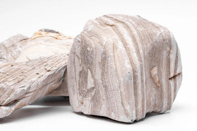 Gobi Desert Stone