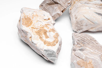Gobi Desert Stone