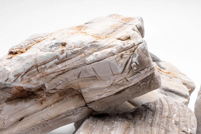 Gobi Desert Stone