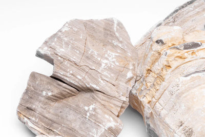 Gobi Desert Stone