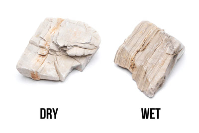 Gobi Desert Stone