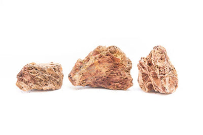 Maple Leaf Stone