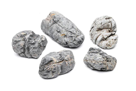 Marsh Stone