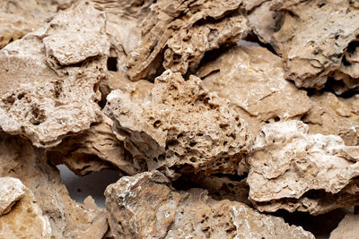 Patagonia Stone
