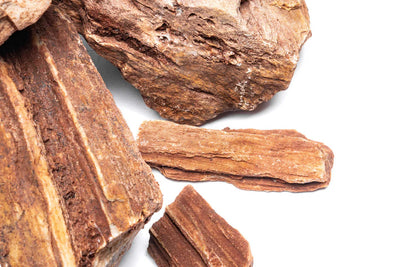 Red Petrified Wood