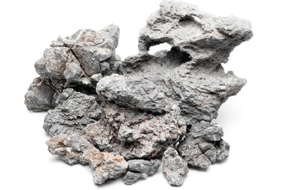 Wolf Stone