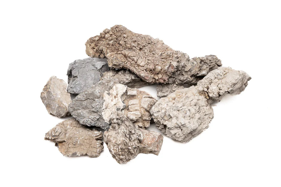 Wolf Stone