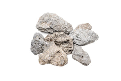 Wolf Stone