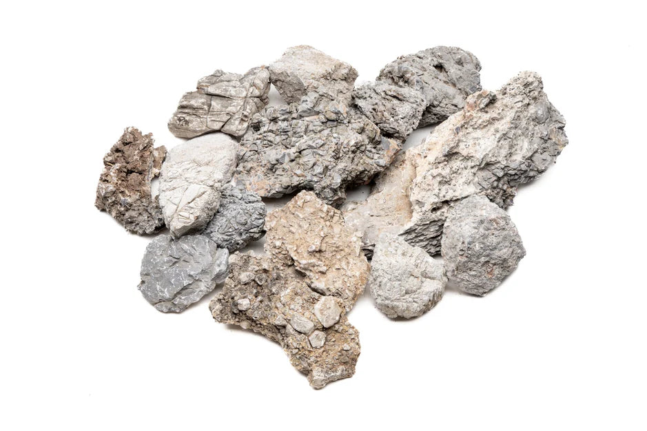 Wolf Stone