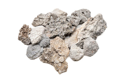 Wolf Stone